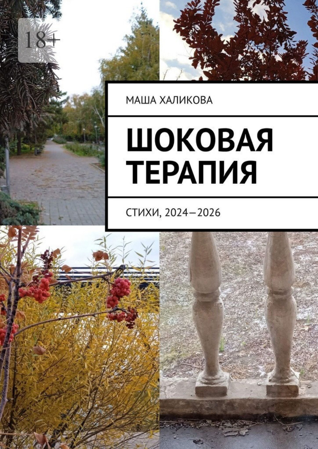 Обложка книги «Шоковая терапия. Стихи, 2024—2026»