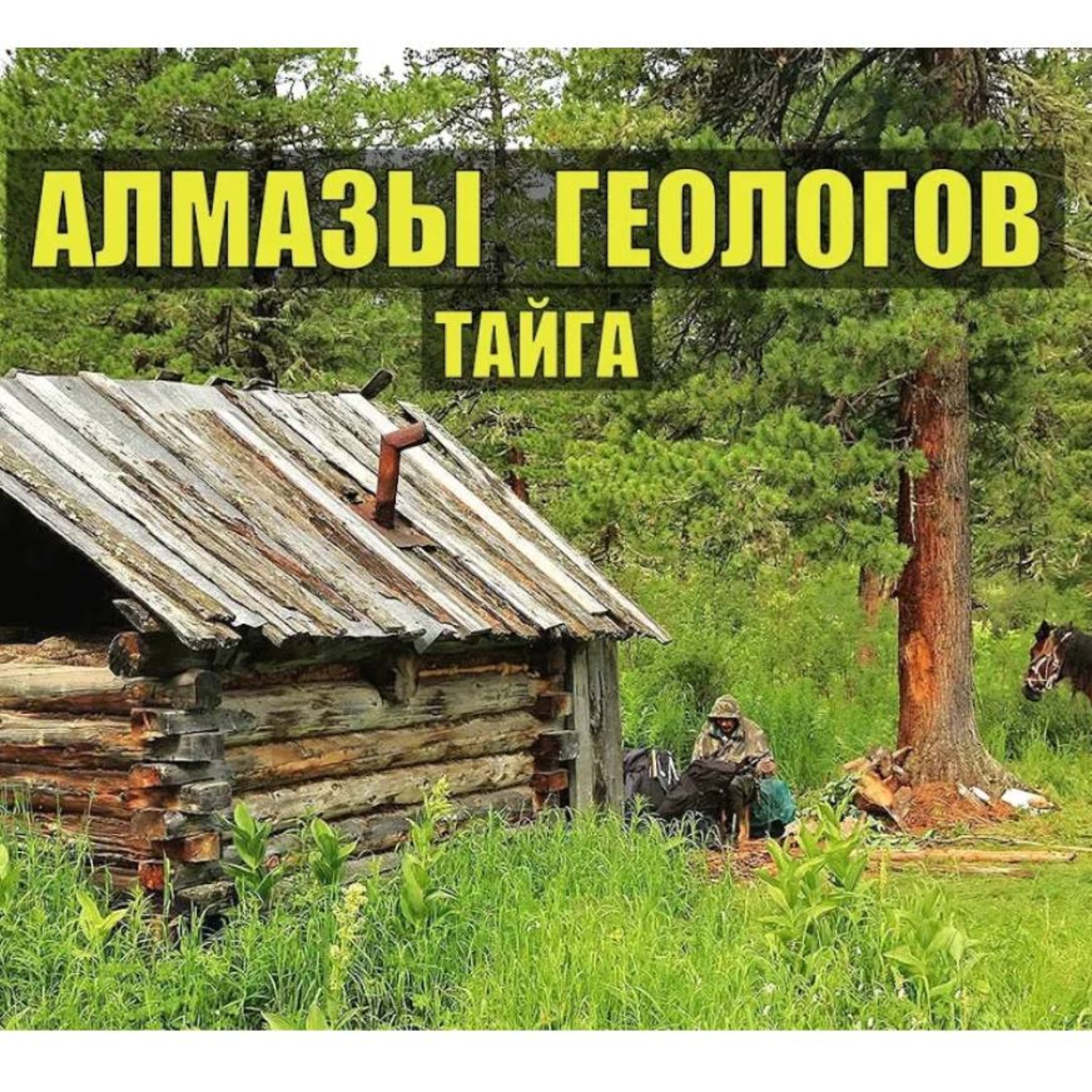 Обложка книги «АЛМАЗЫ ГЕОЛОГОВ в ТАЙГЕ»