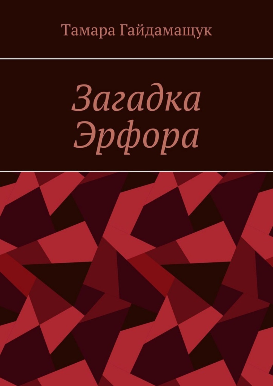 Обложка книги «Загадка Эрфора»