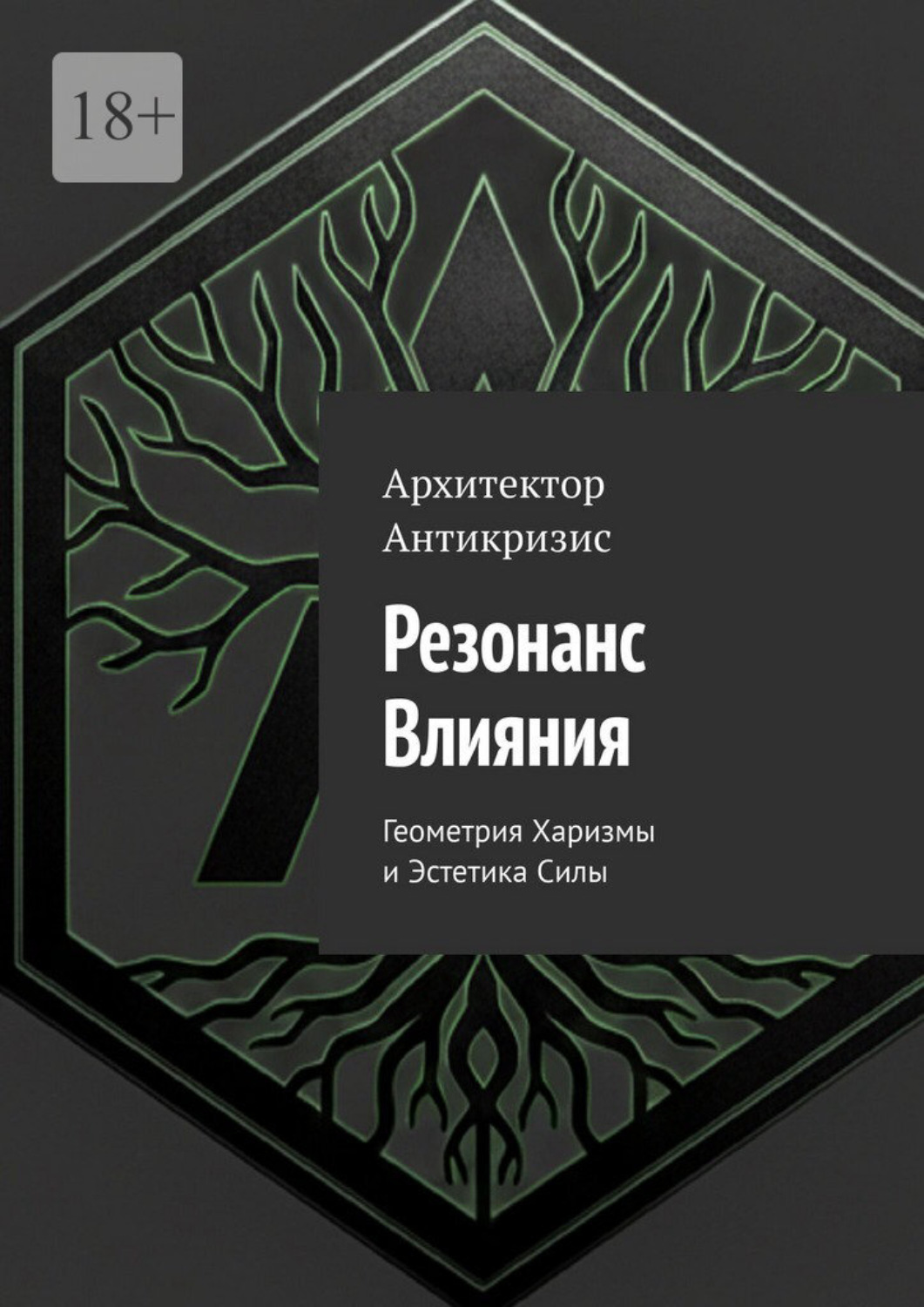 Обложка книги «Резонанс влияния. Геометрия харизмы и эстетика силы»