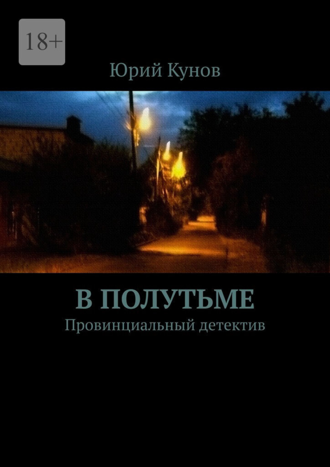 Обложка книги «В полутьме. Провинциальный детектив»
