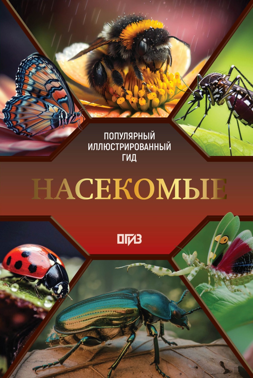 Обложка книги «Насекомые. Иллюстрированный гид»