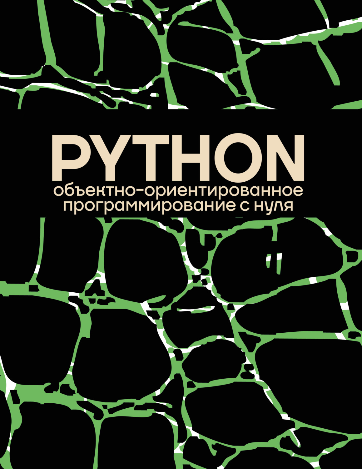 Обложка книги «Объектно-ориентированное программирование на Pythone с нуля»