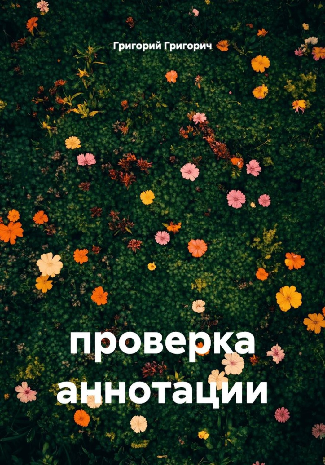 Обложка книги «проверка аннотации»