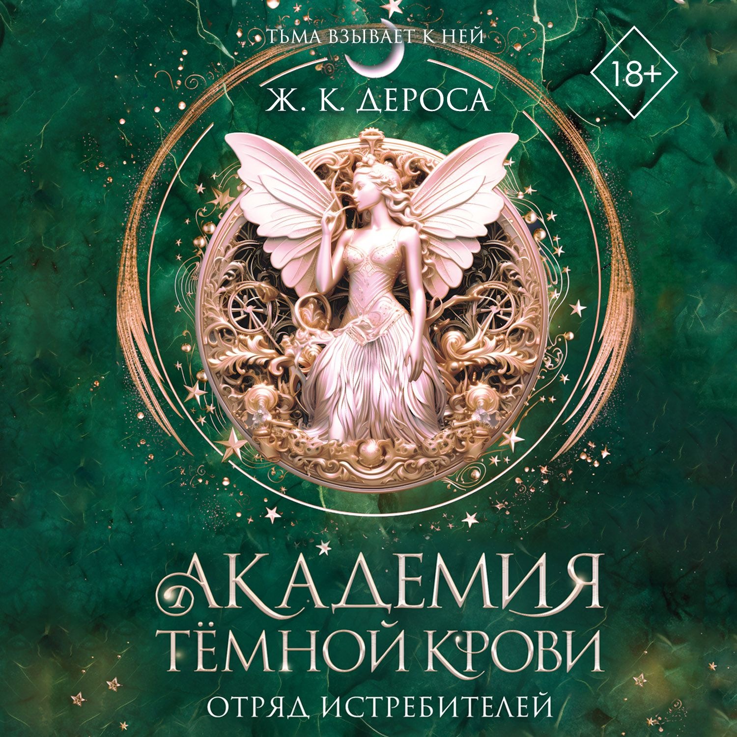 Обложка книги «Академия темной крови. Отряд истребителей»