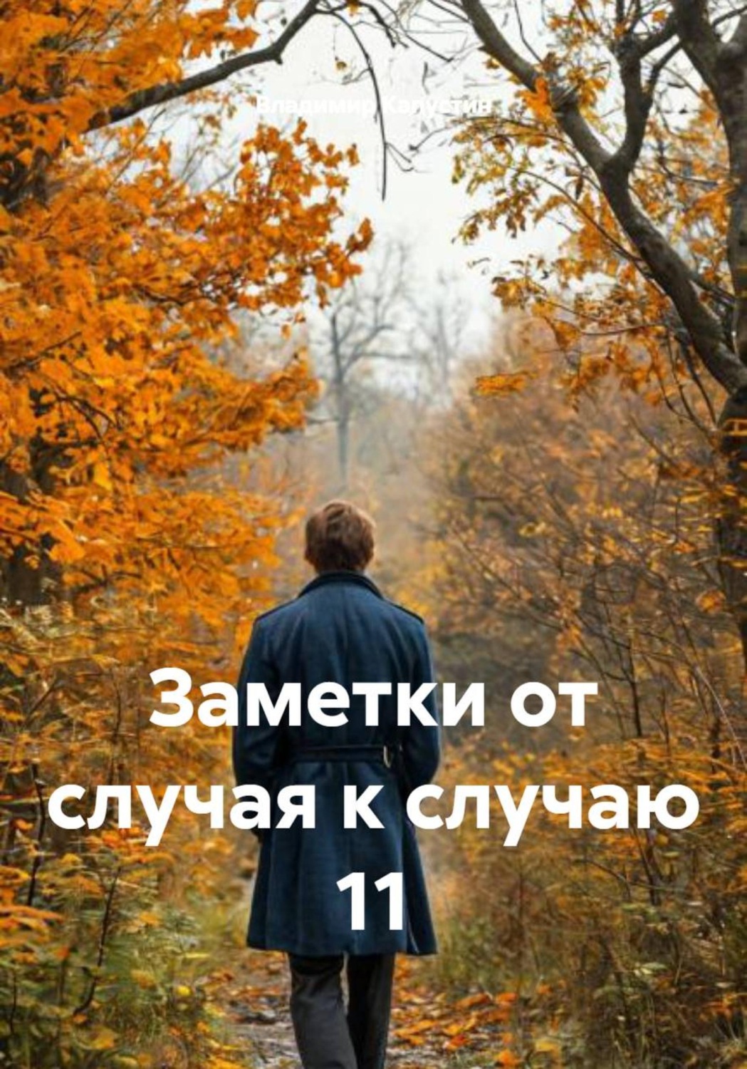 Обложка книги «Заметки от случая к случаю 11»