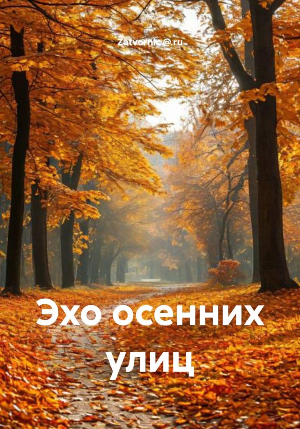Обложка книги «Эхо осенних улиц»
