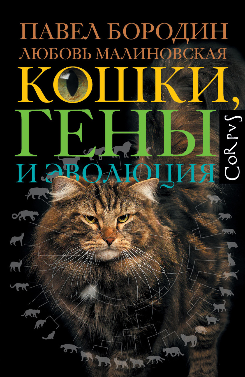 Обложка книги «Кошки, гены и эволюция»