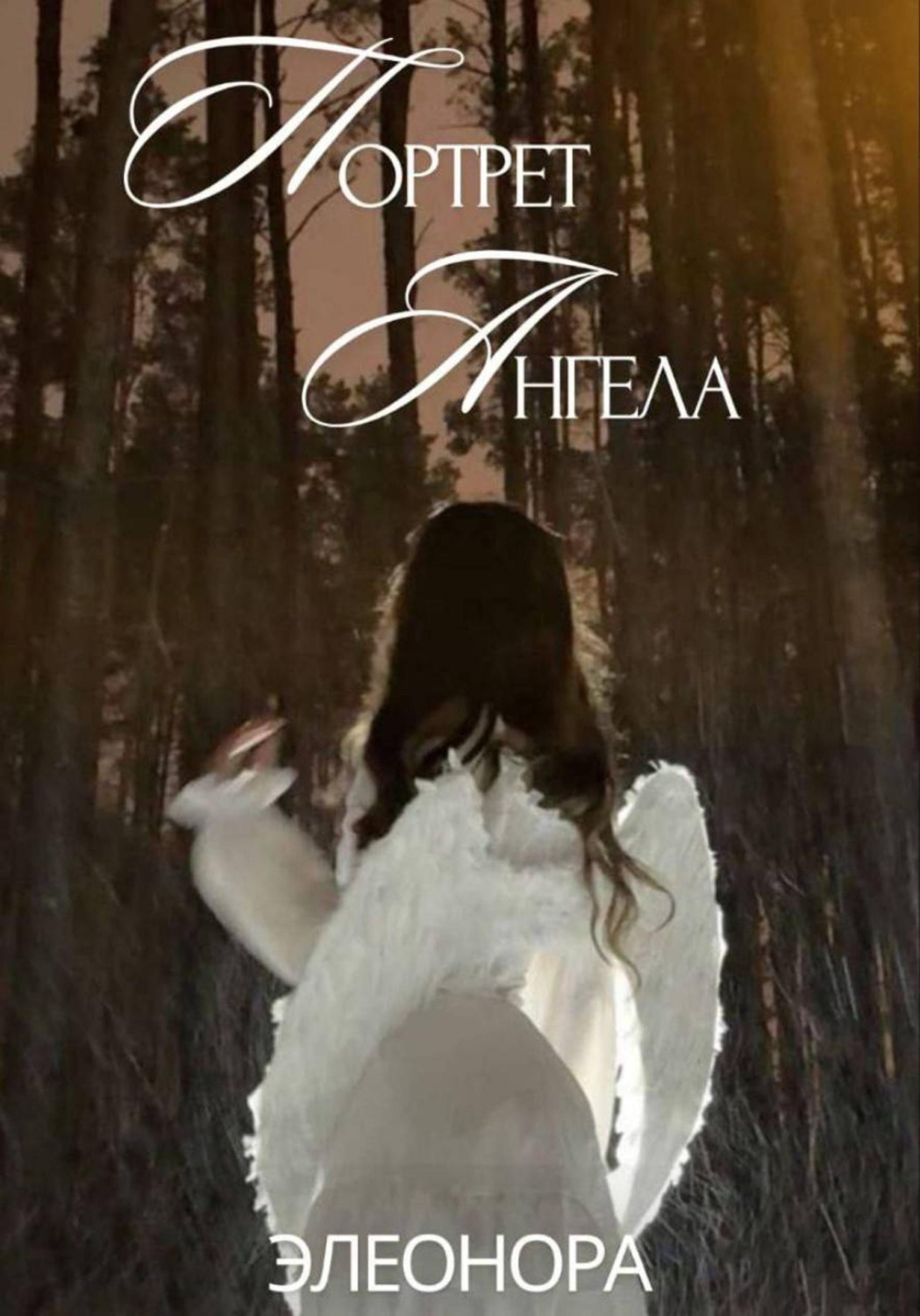 Обложка книги «Портрет Ангела»