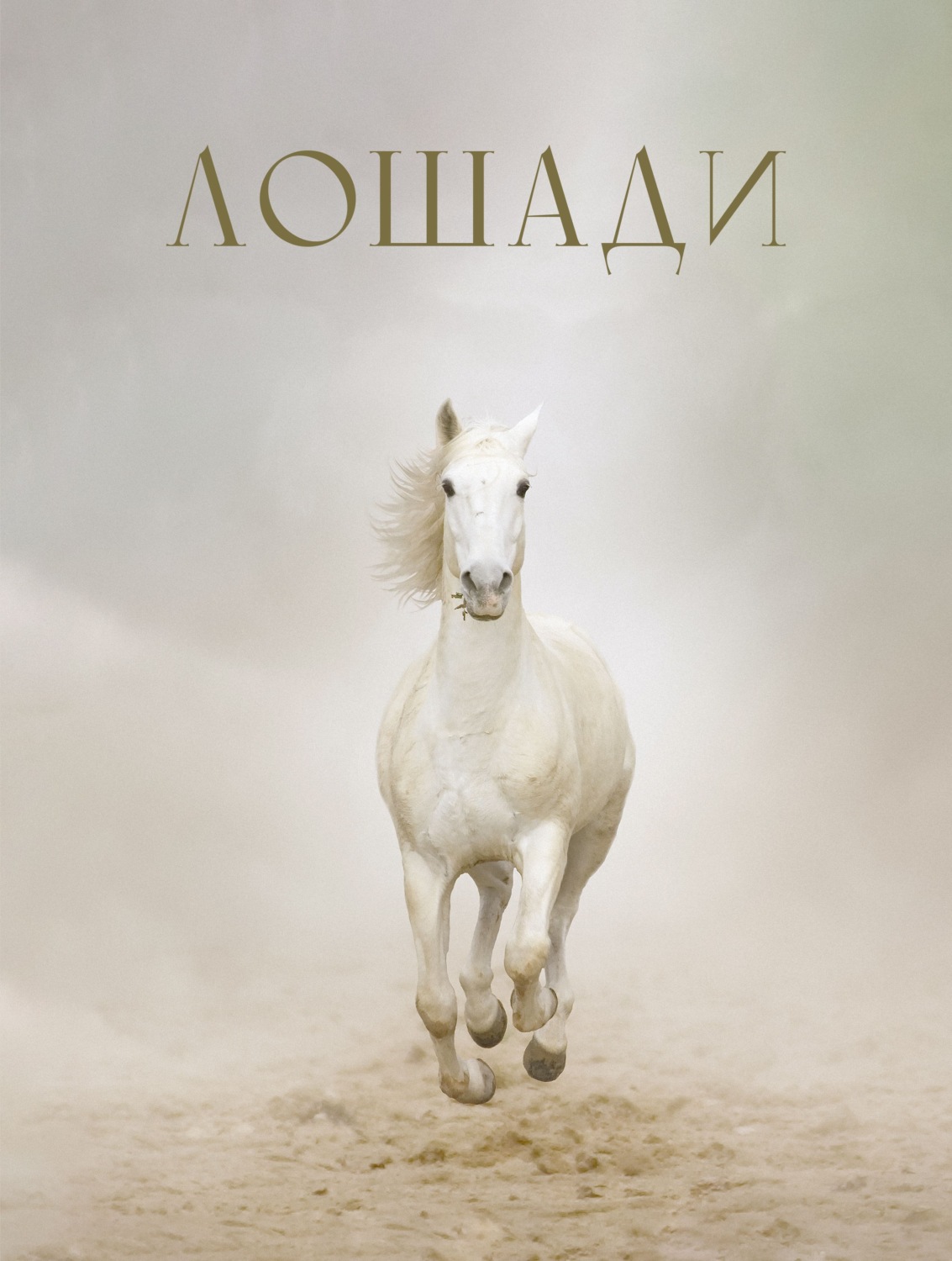 Обложка книги «Лошади»