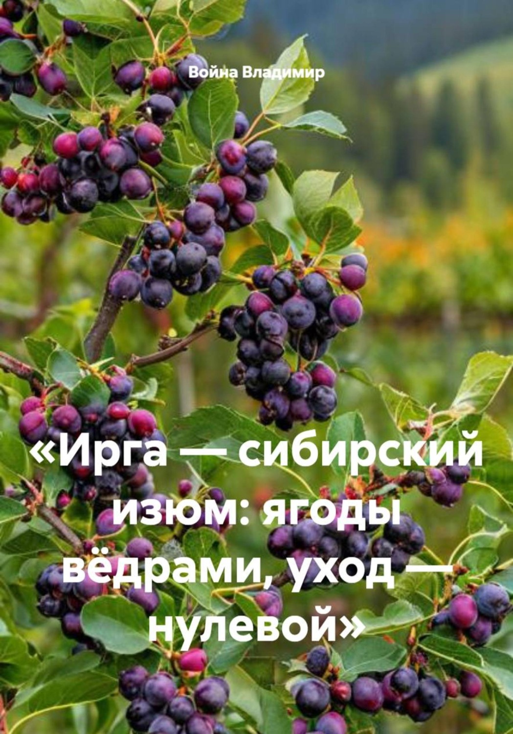 Обложка книги «Ирга — сибирский изюм: ягоды вёдрами, уход — нулевой»