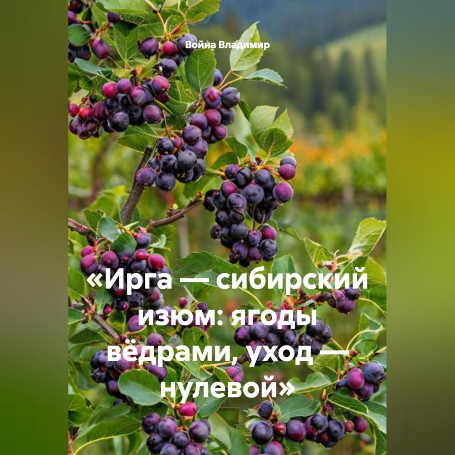 Обложка книги ««Ирга — сибирский изюм: ягоды вёдрами, уход — нулевой»»