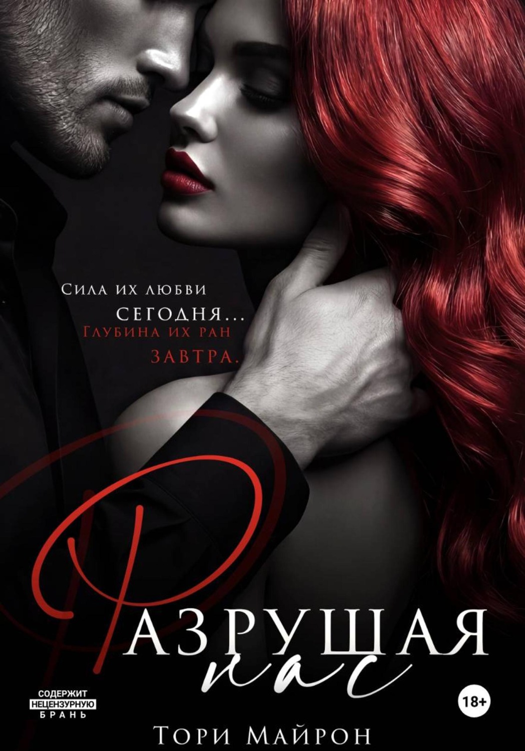 Обложка книги «Разрушая нас»