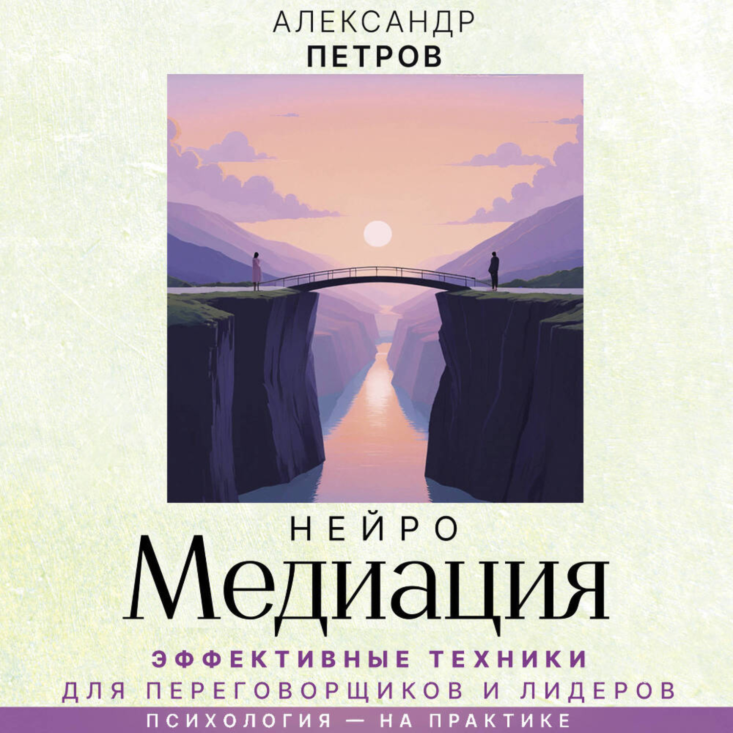 Обложка книги «НейроМедиация. Эффективные техники для переговорщиков и лидеров»