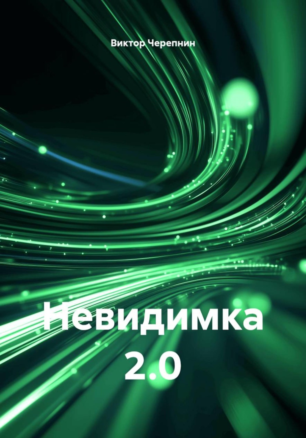 Обложка книги «Невидимка 2.0»