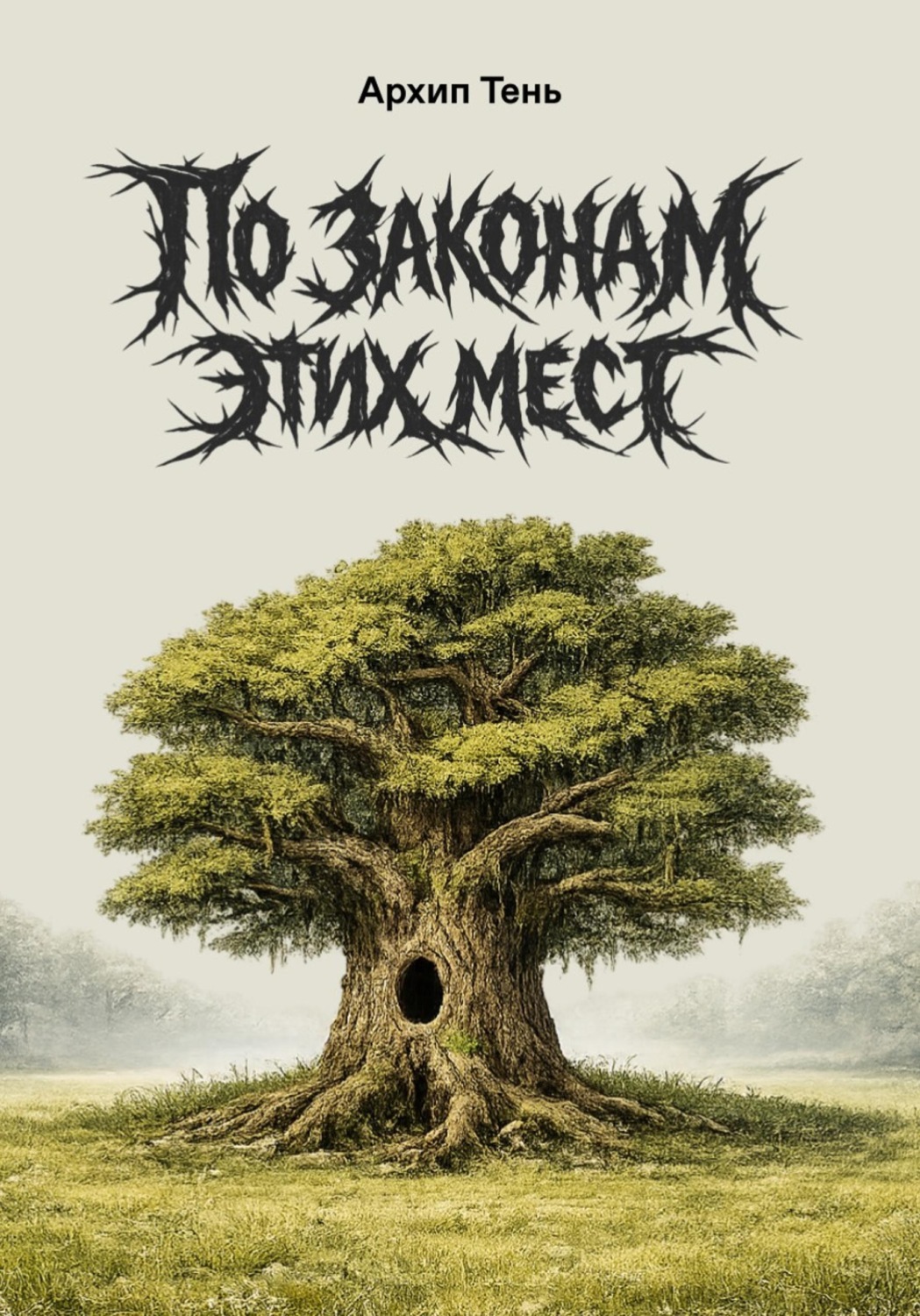 Обложка книги «По законам этих мест»