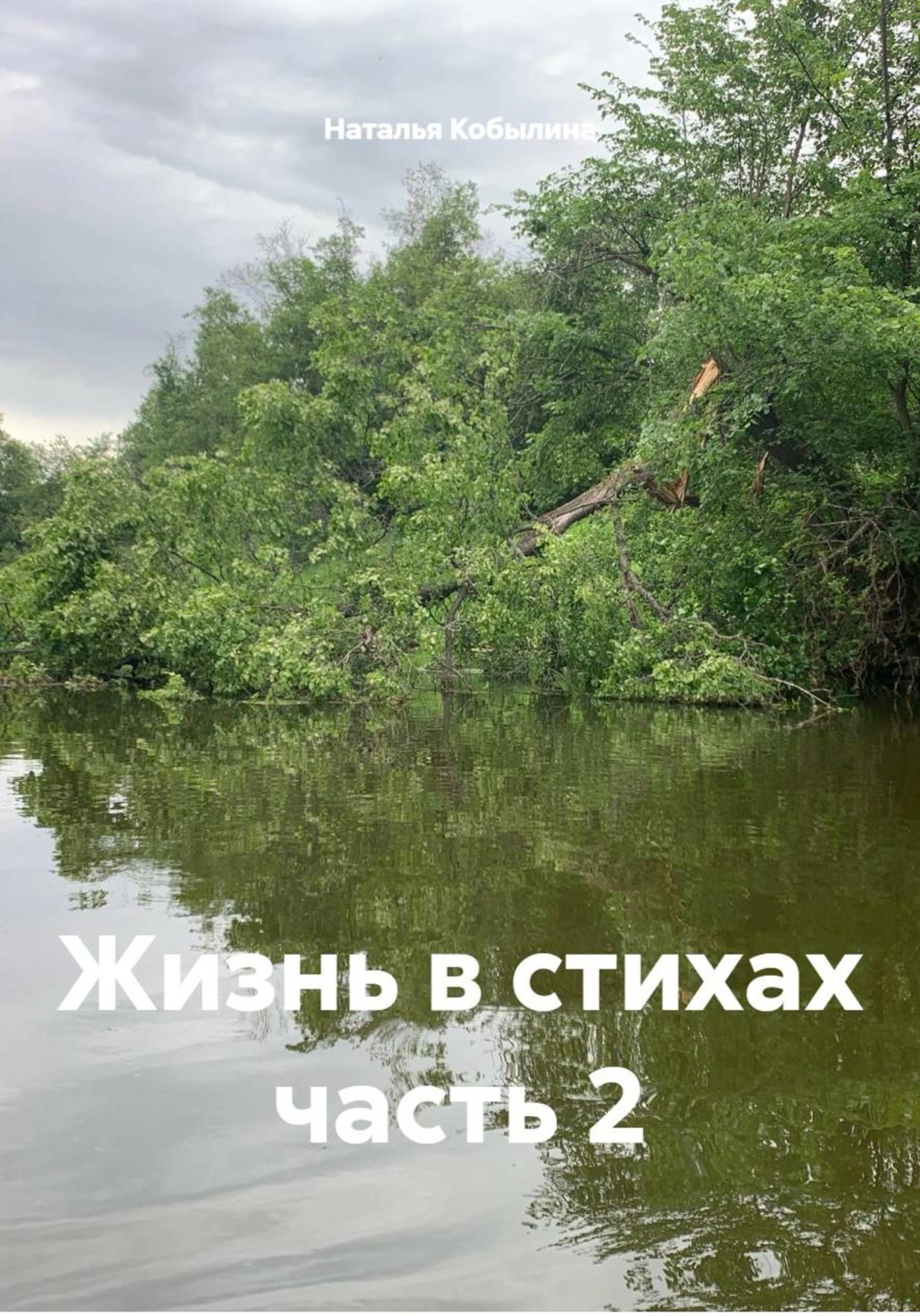 Обложка книги «Жизнь в стихах часть 2»