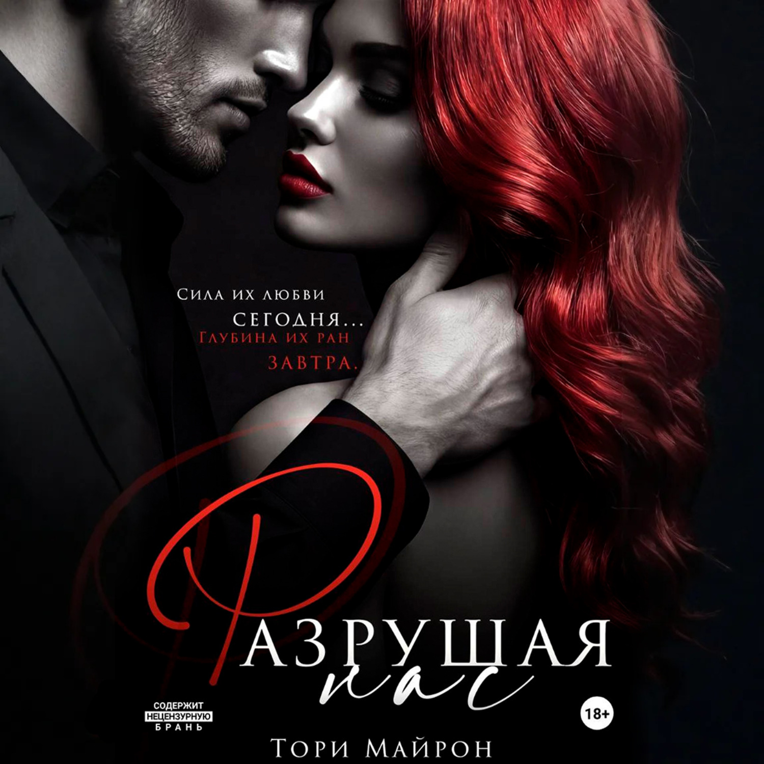 Обложка книги «Разрушая нас»