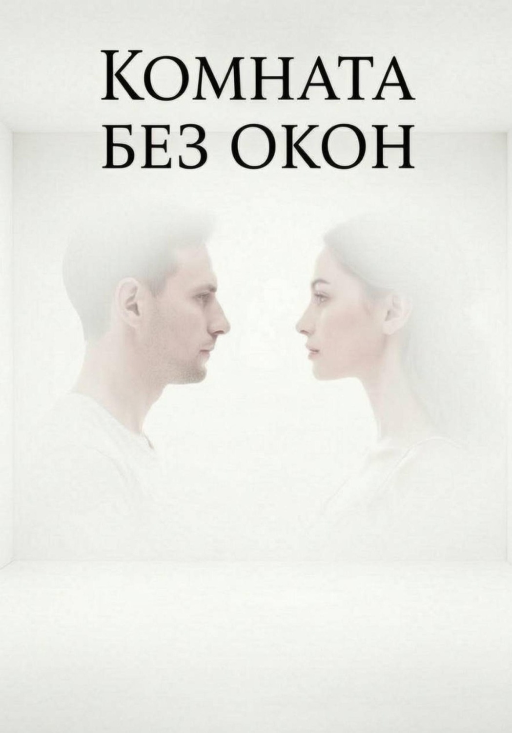 Обложка книги «Комната без окон»