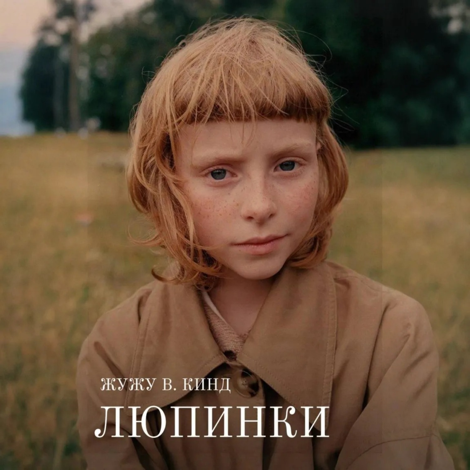 Обложка книги «Люпинки»