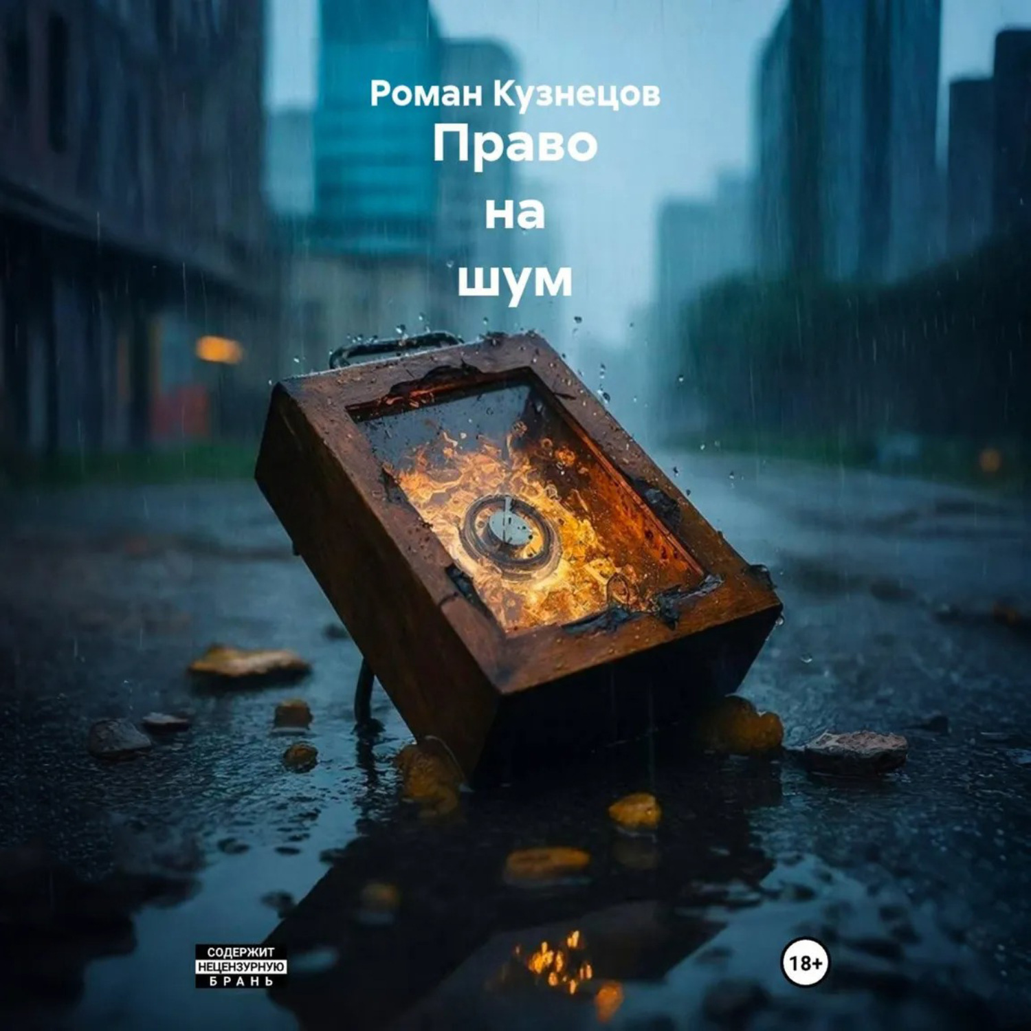 Обложка книги «Право на шум»