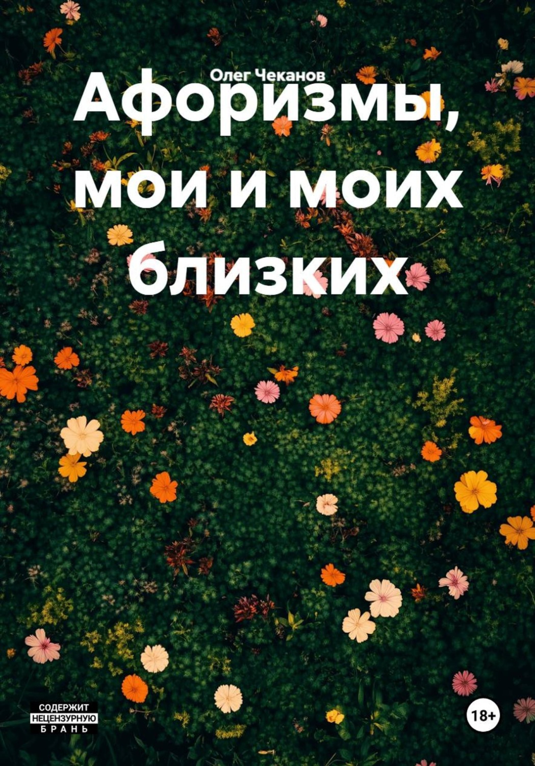 Обложка книги «Афоризмы, мои и моих близких»