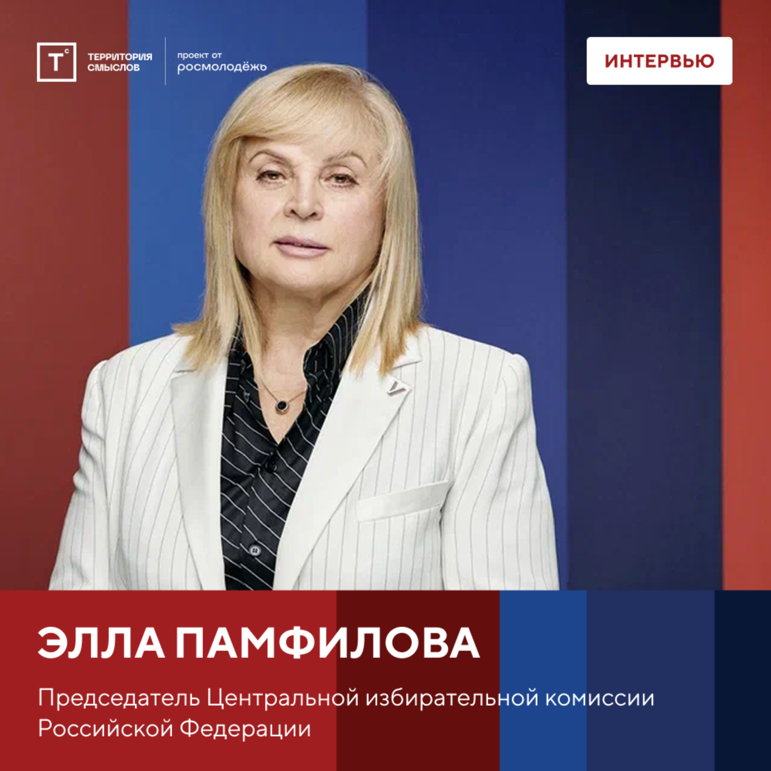 Обложка книги «Интервью с Эллой Памфиловой»