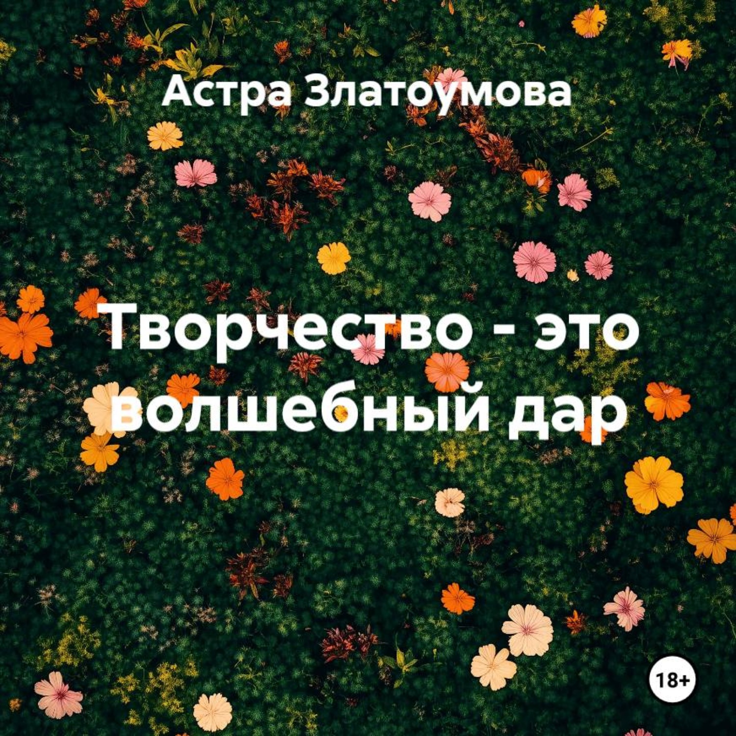 Обложка книги «Творчество – это волшебный дар»
