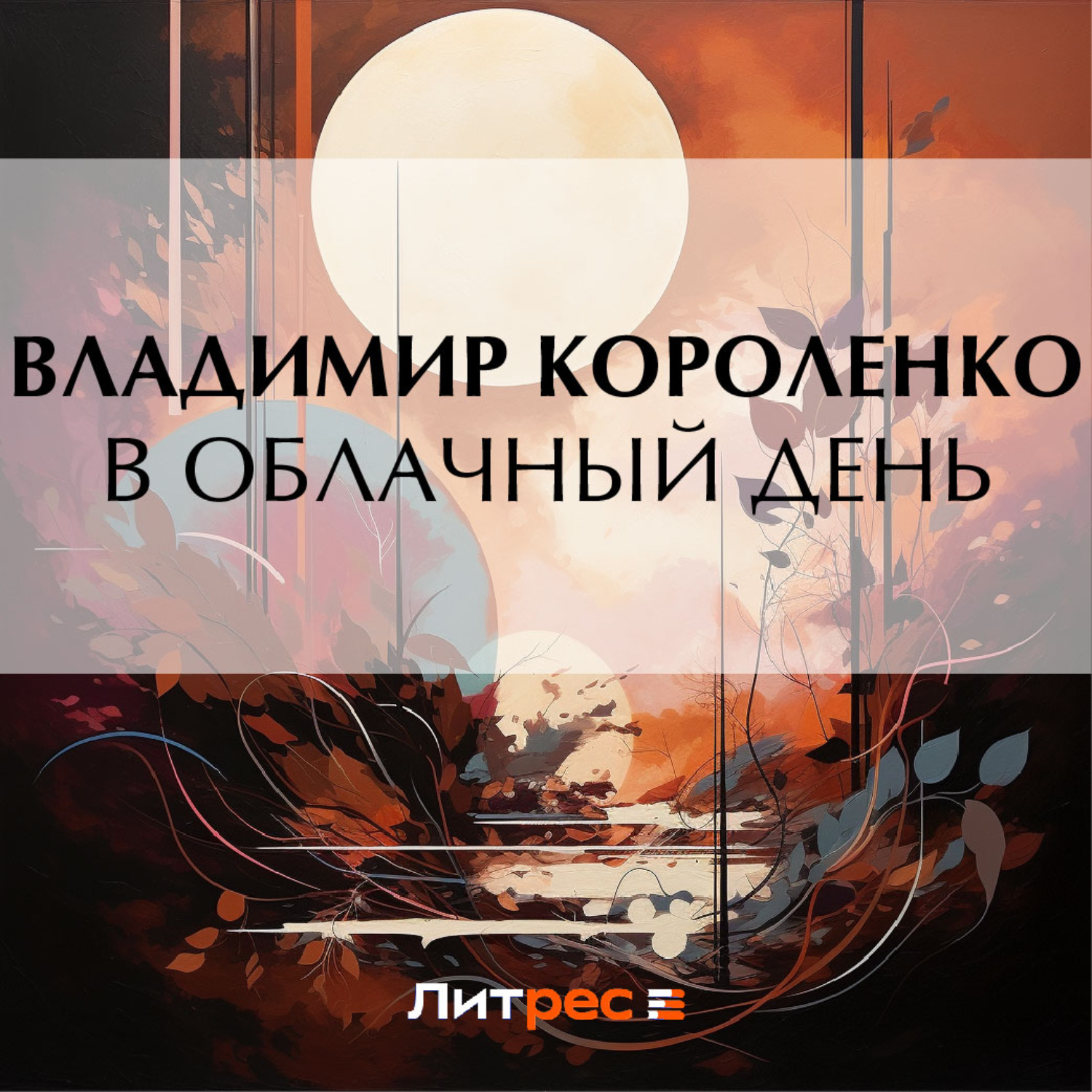 Обложка книги «В облачный день»