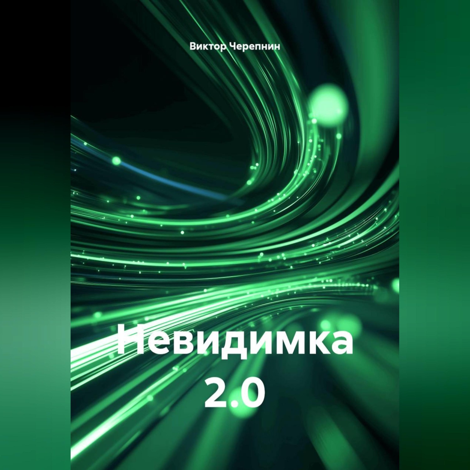 Обложка книги «Невидимка 2.0»
