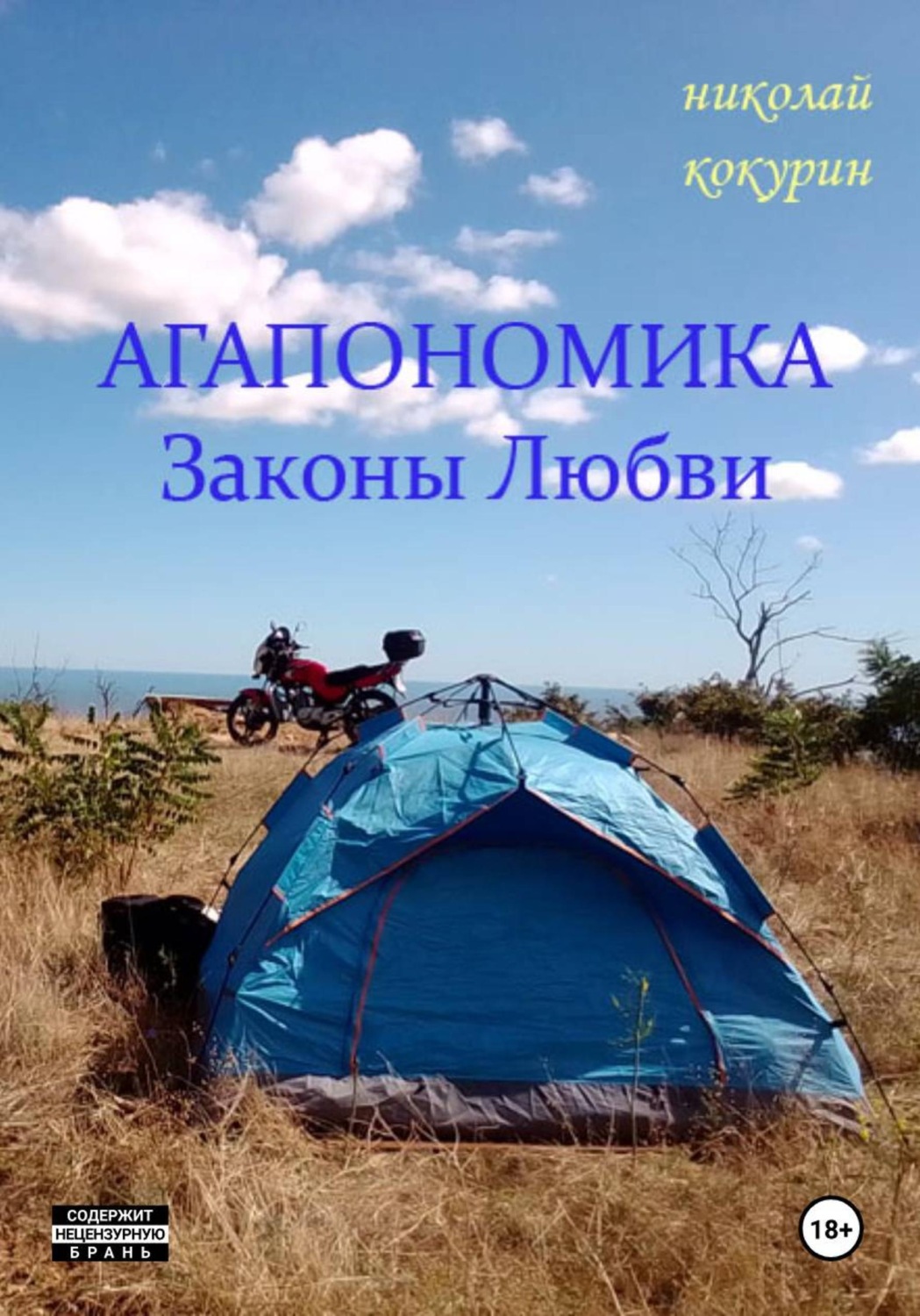 Обложка книги «Агапономика - Законы Любви»