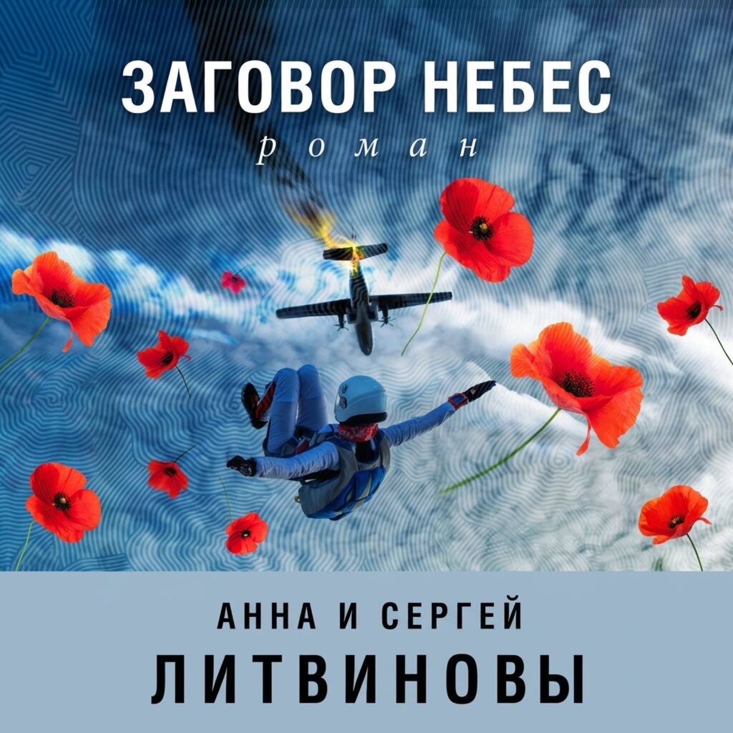 Обложка книги «Заговор небес»