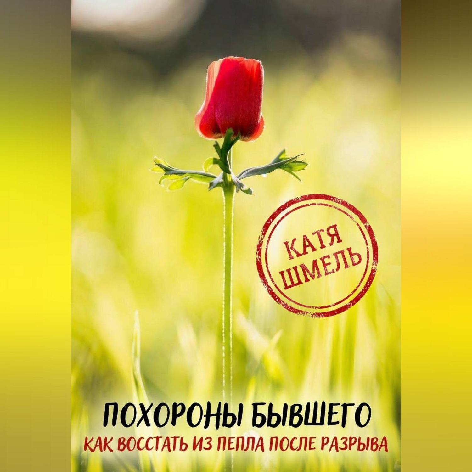 Обложка книги «Похороны бывшего! Как восстать из пепла после разрыва»