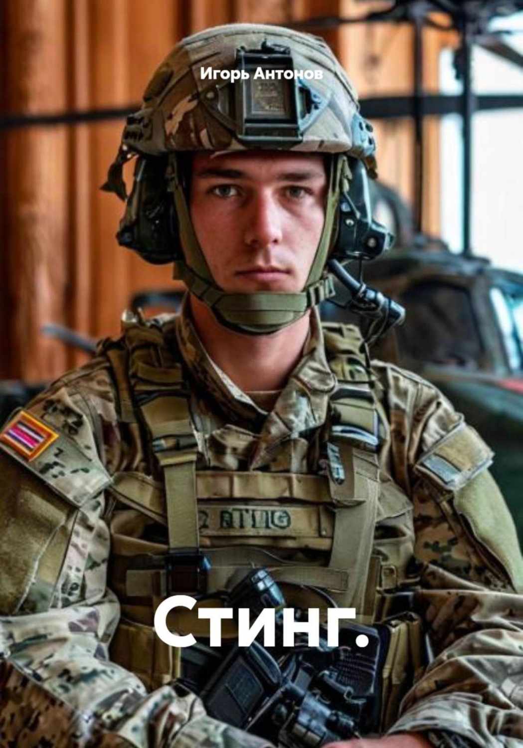 Обложка книги «Стинг»