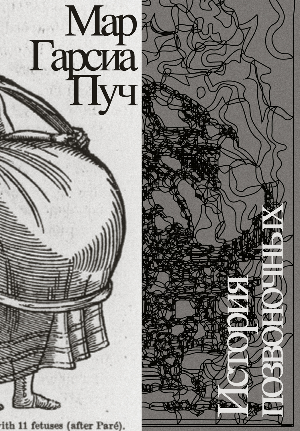 Обложка книги «История позвоночных»