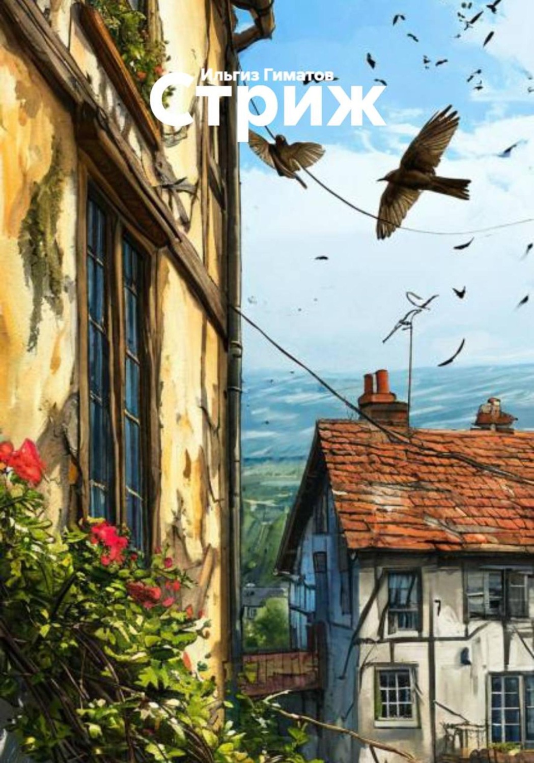 Обложка книги «Стриж»