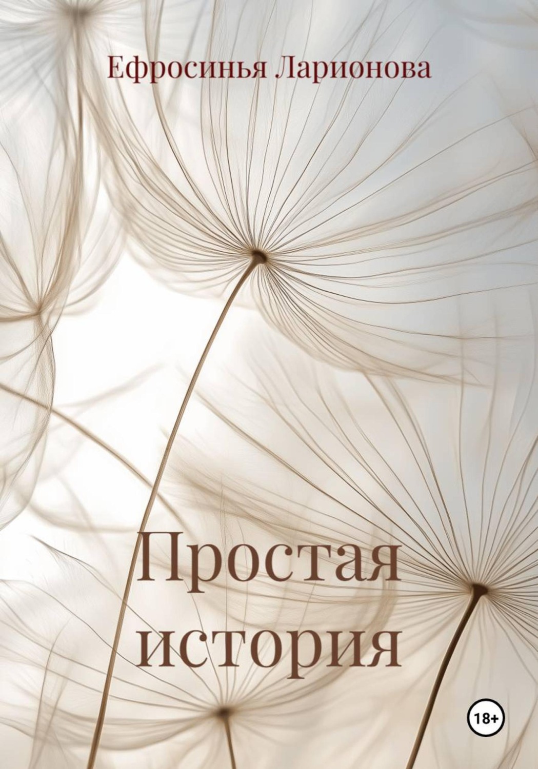 Обложка книги «Простая история»