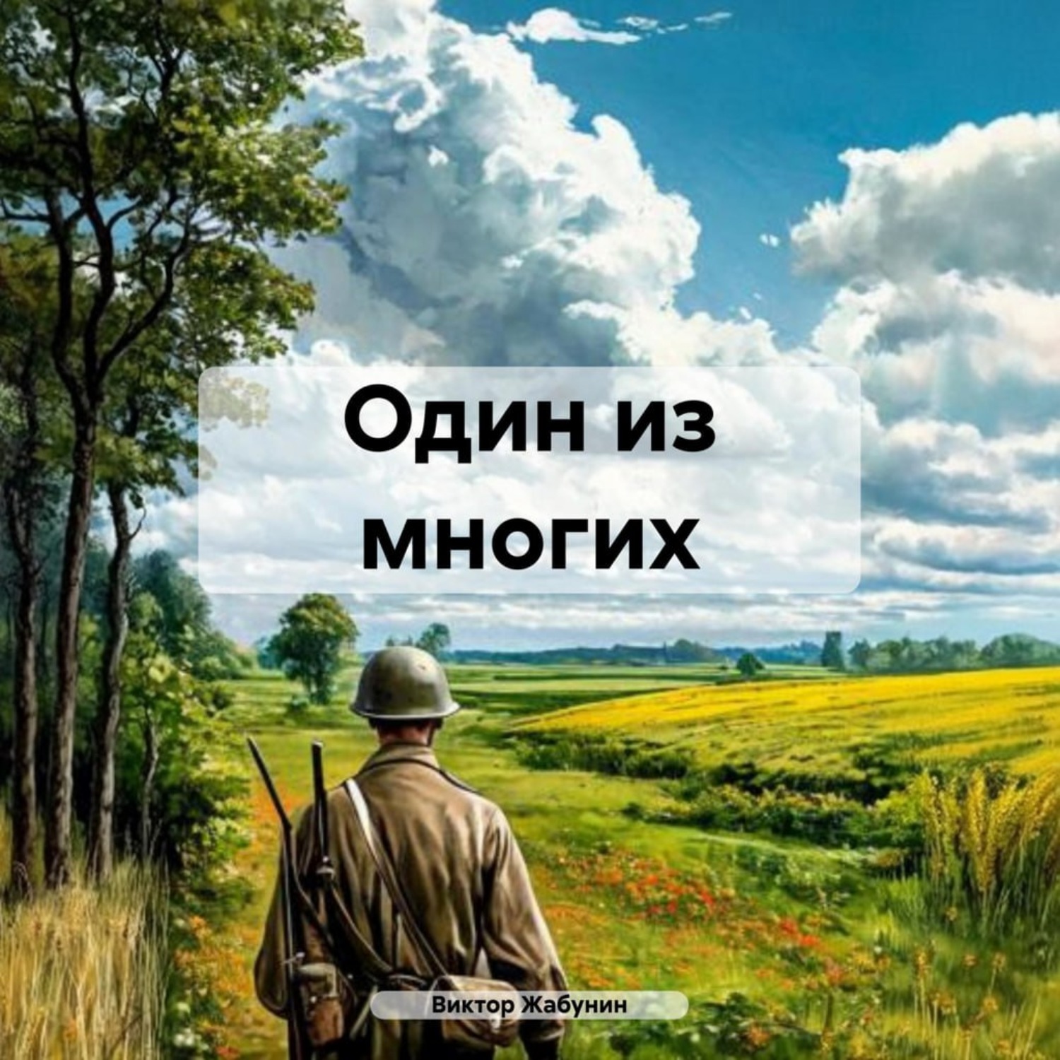 Обложка книги «Один из многих»