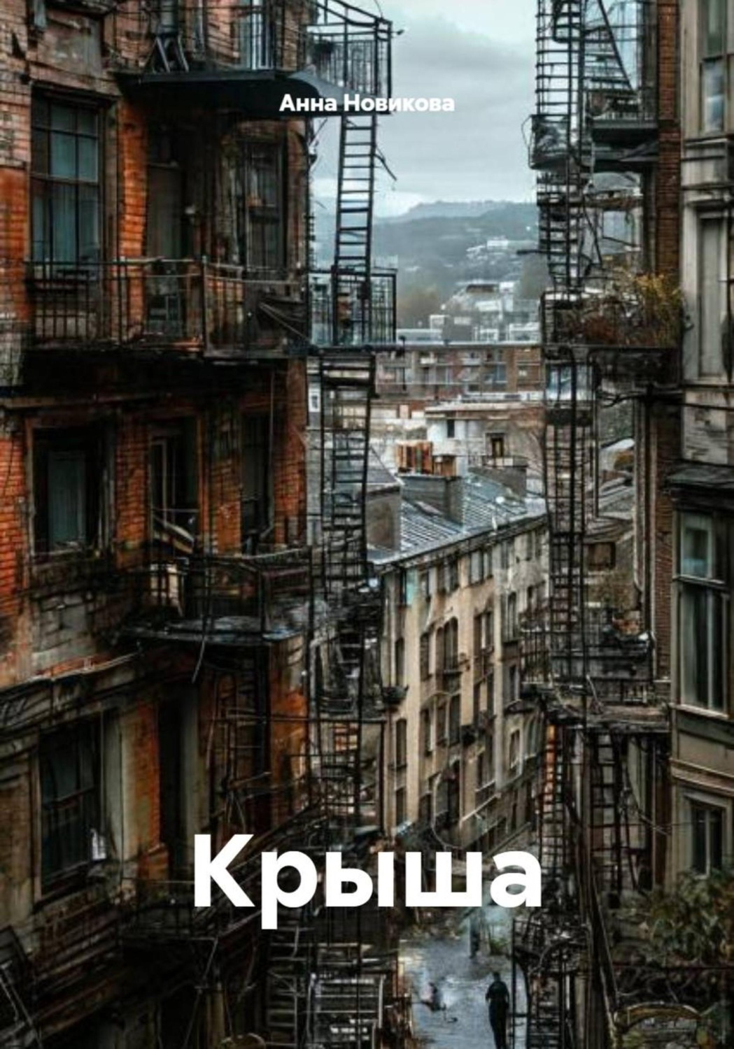 Обложка книги «Крыша»