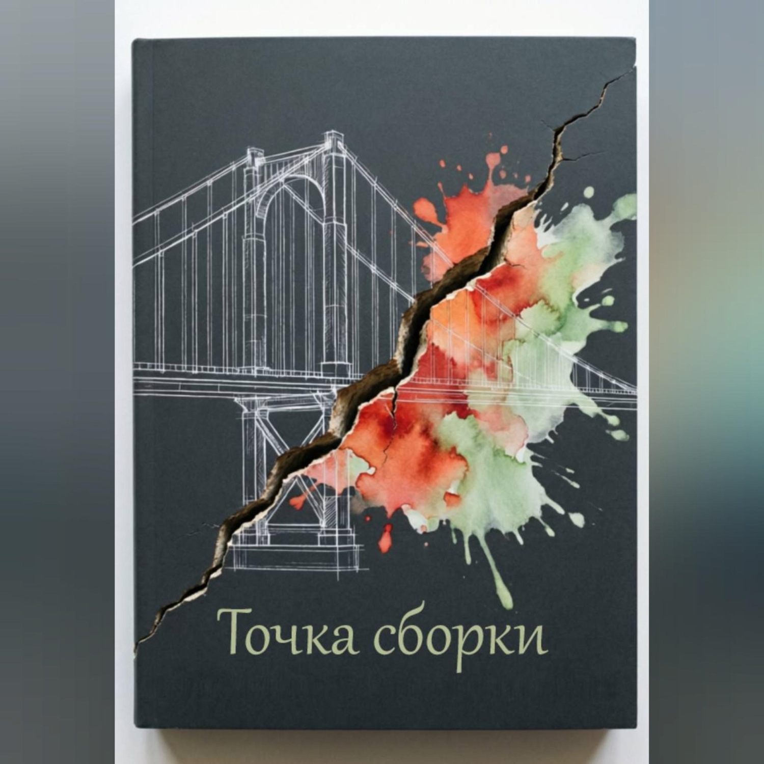 Обложка книги «Точка сбора»
