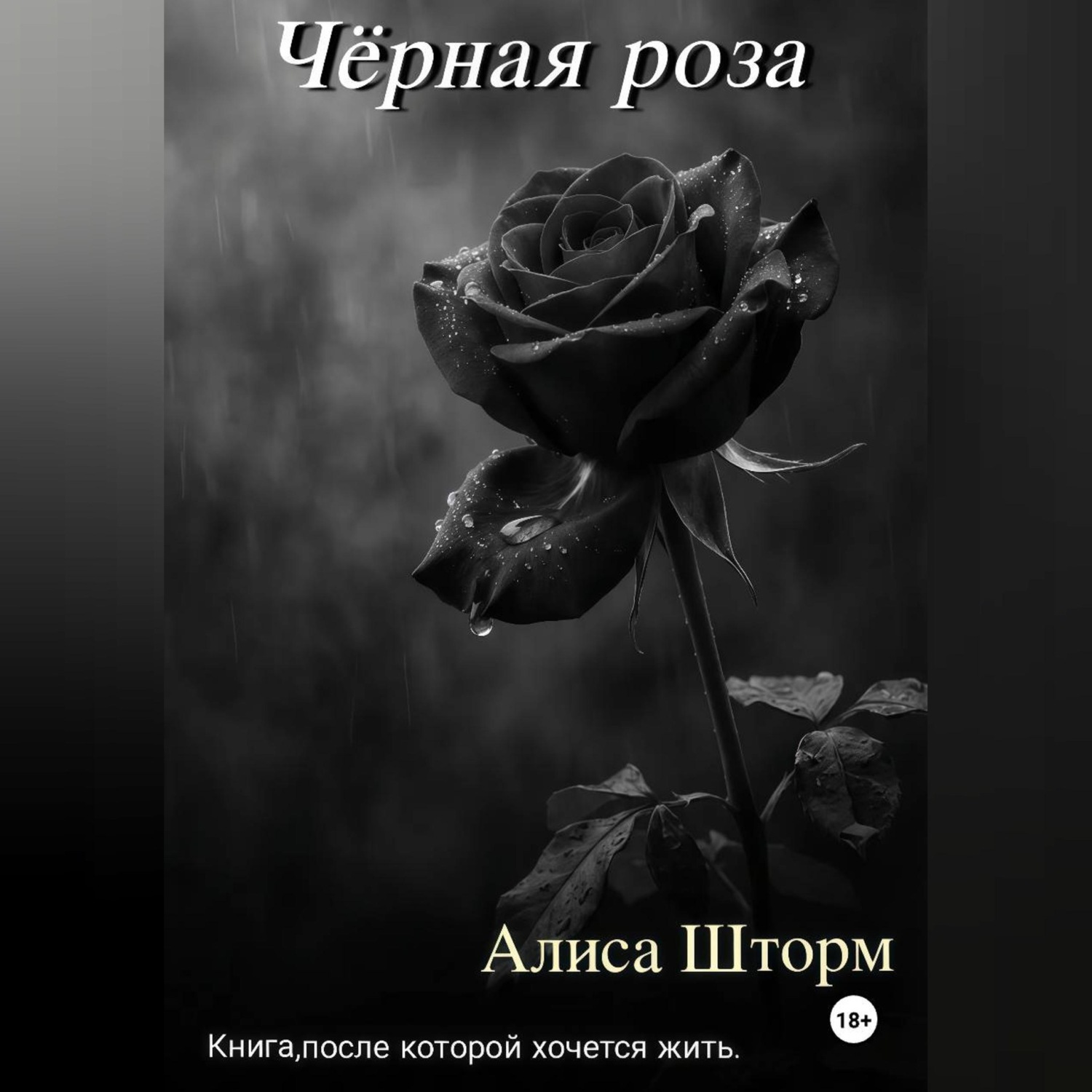 Обложка книги «Чёрная роза»