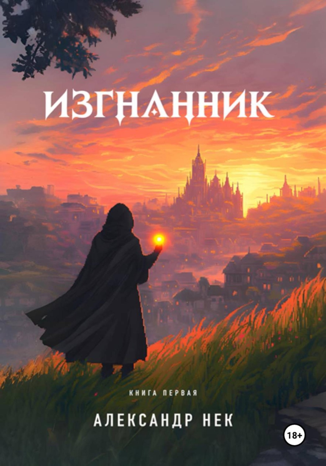 Обложка книги «Изгнанник I»