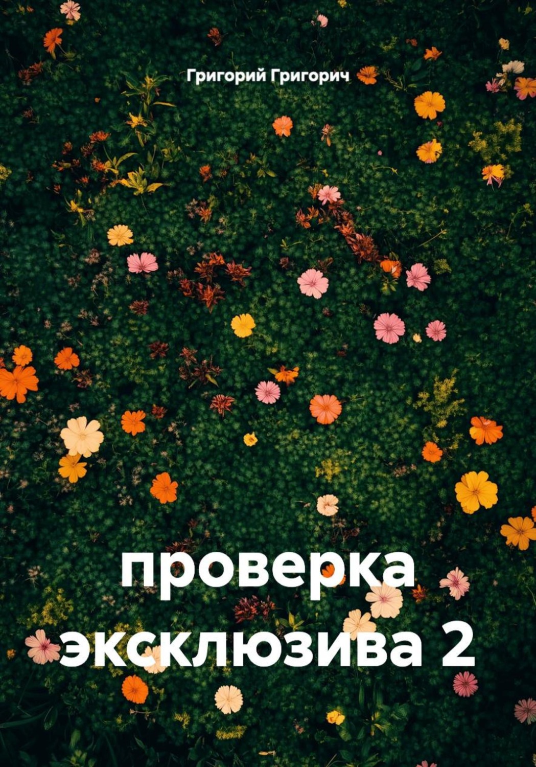 Обложка книги «проверка эксклюзива 2»