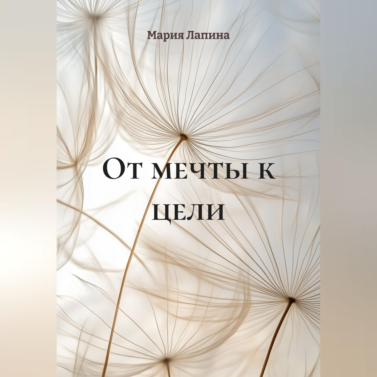 Обложка книги «От мечты к цели»