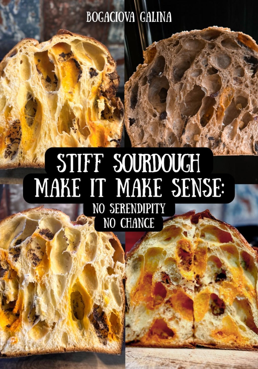 Обложка книги «Stiff Sourdough Make it Make Sense: No Serendipity, No Chance»