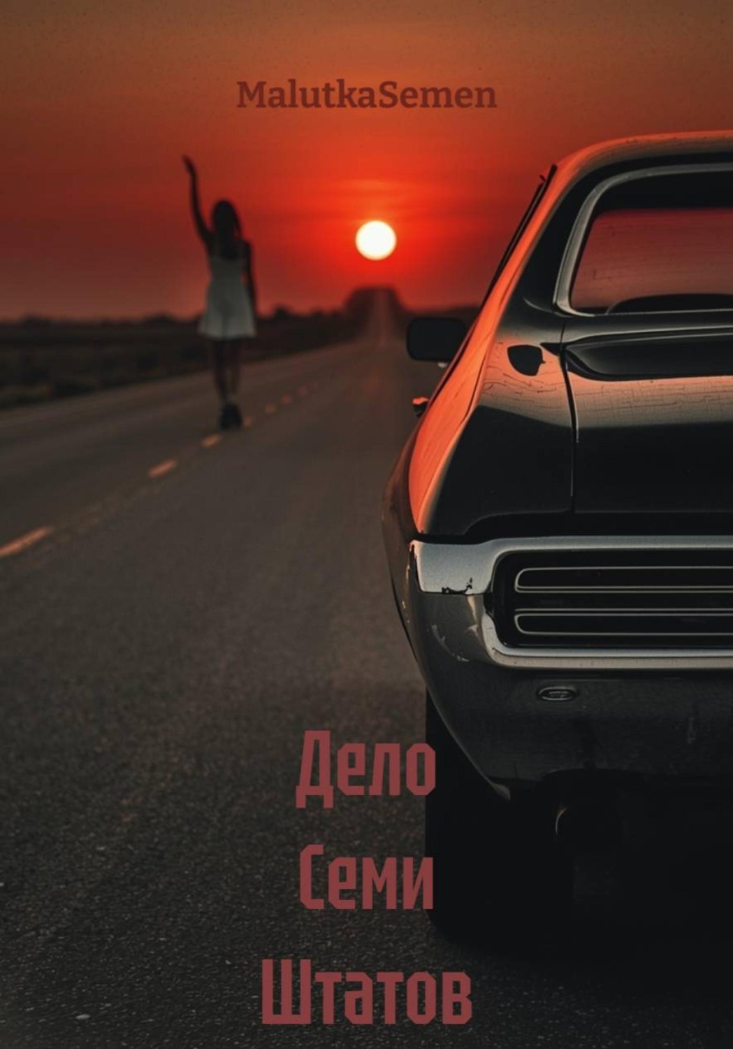 Обложка книги «Дело Семи Штатов»
