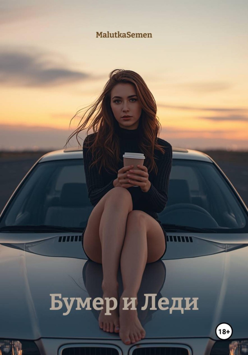 Обложка книги «Бумер и Леди»