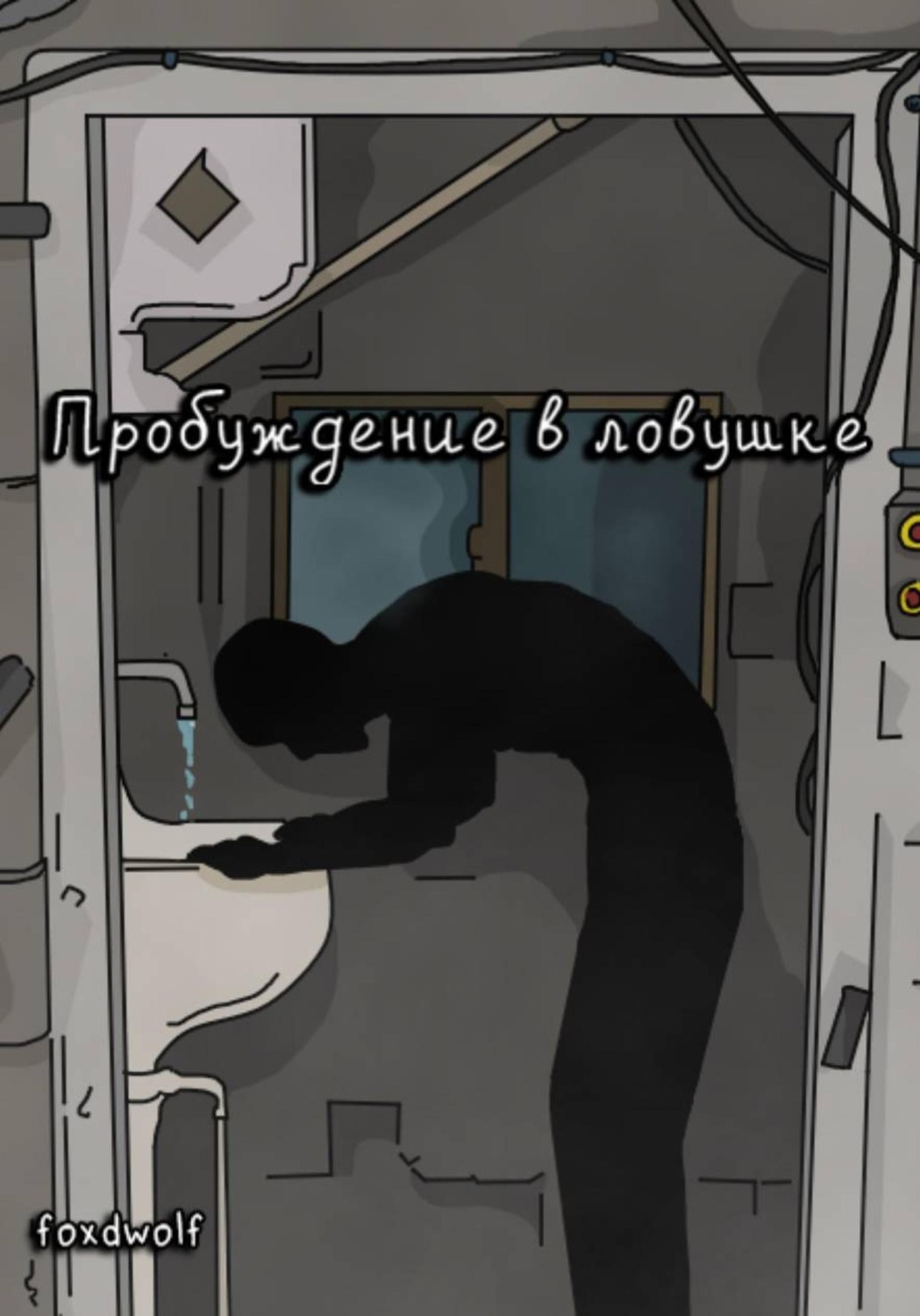 Обложка книги «Пробуждение в ловушке»