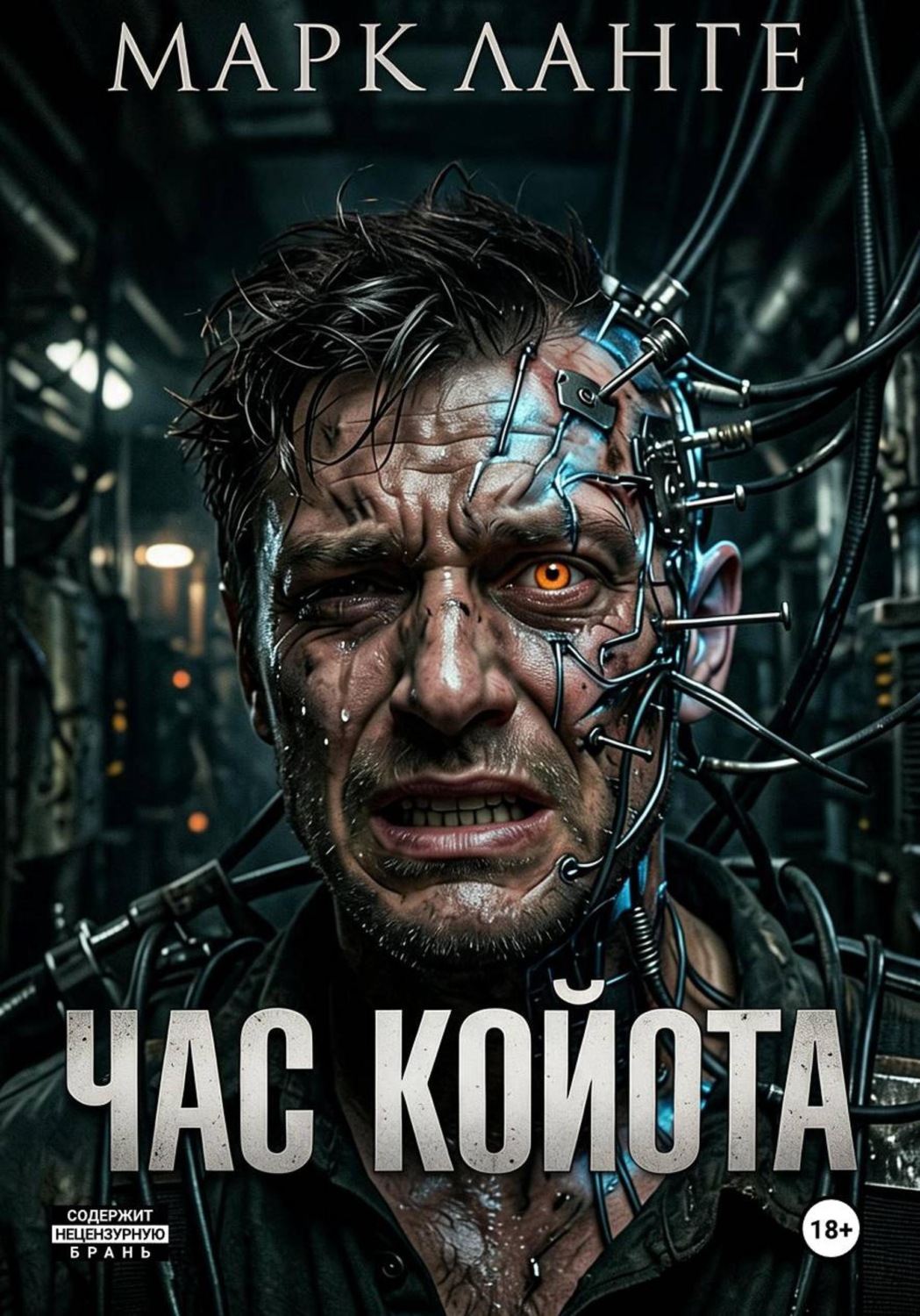 Обложка книги «Час койота»