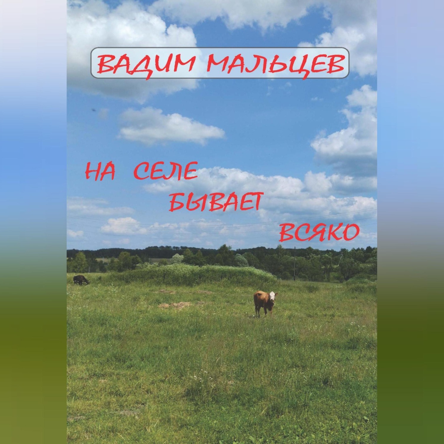 Обложка книги «На селе бывает всяко»